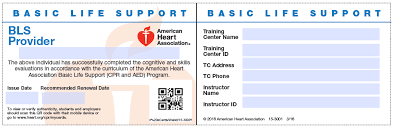 BLS Certification Card