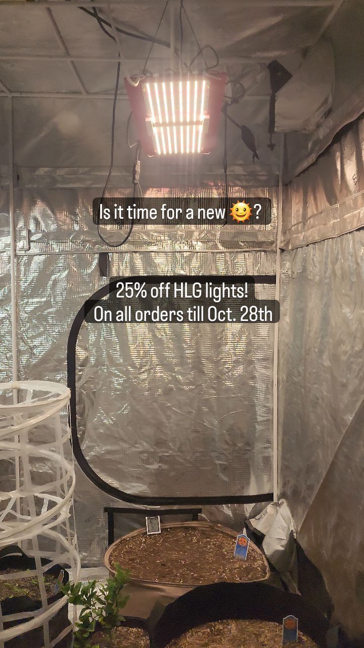 HLG Lights — Prescott, AZ — Kinder Garden LLC