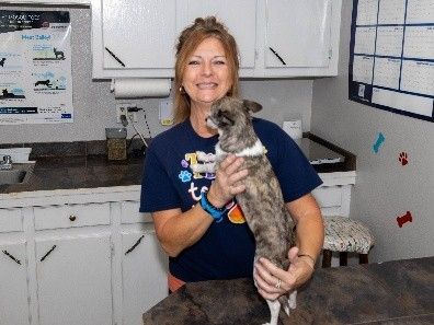 A woman is holding a dog in her arms in a kitchen.