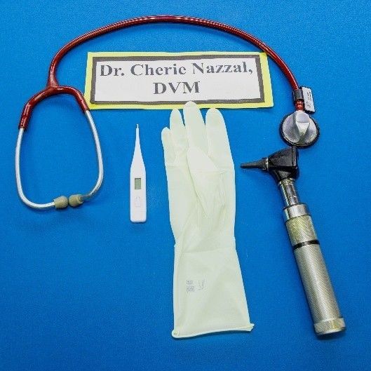 A stethoscope a thermometer a glove and a sign that says dr. cherie nazzal dym