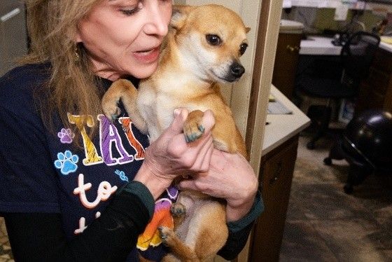 A woman is holding a small brown dog in her arms.