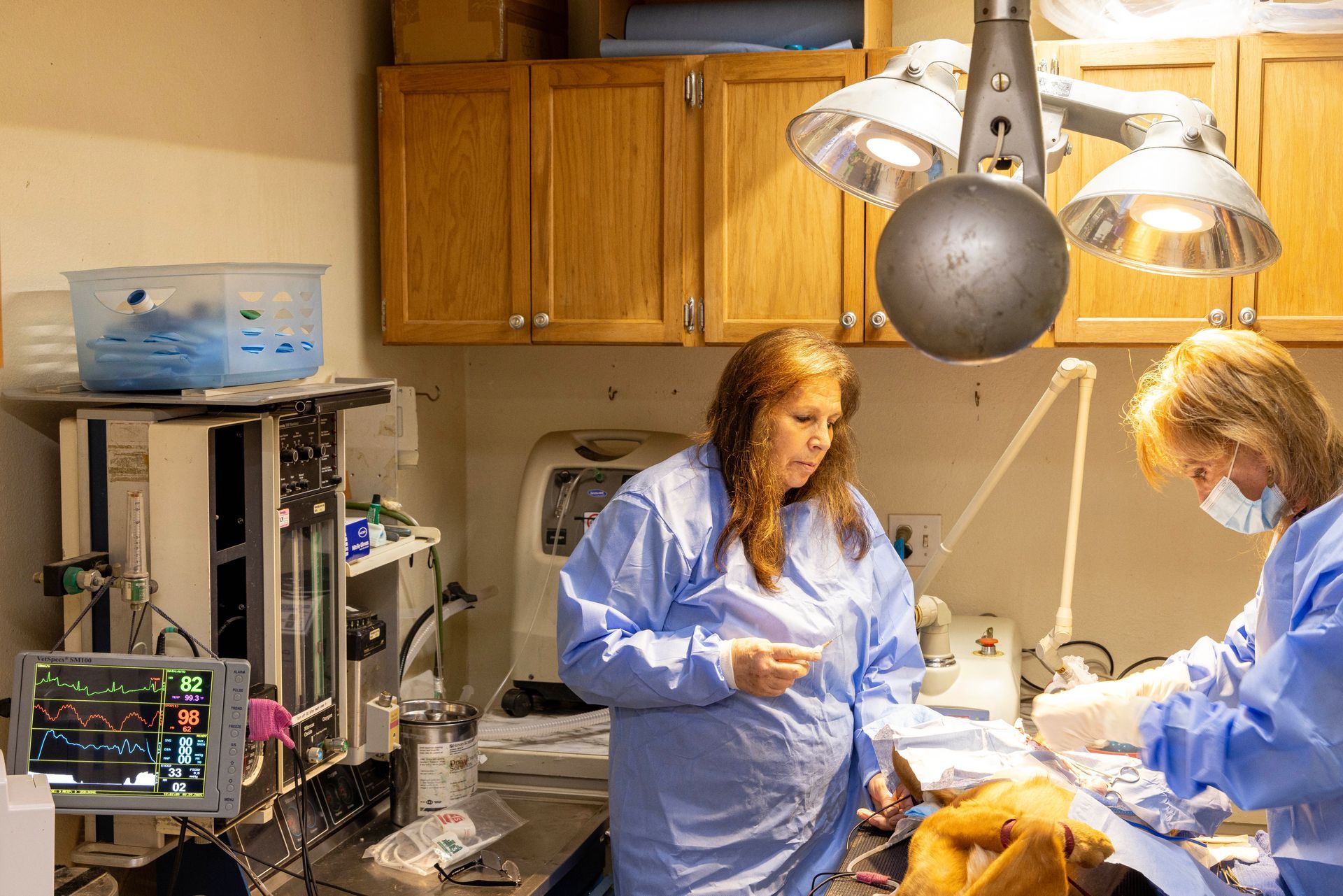 Two women are working on a dog in an operating room.