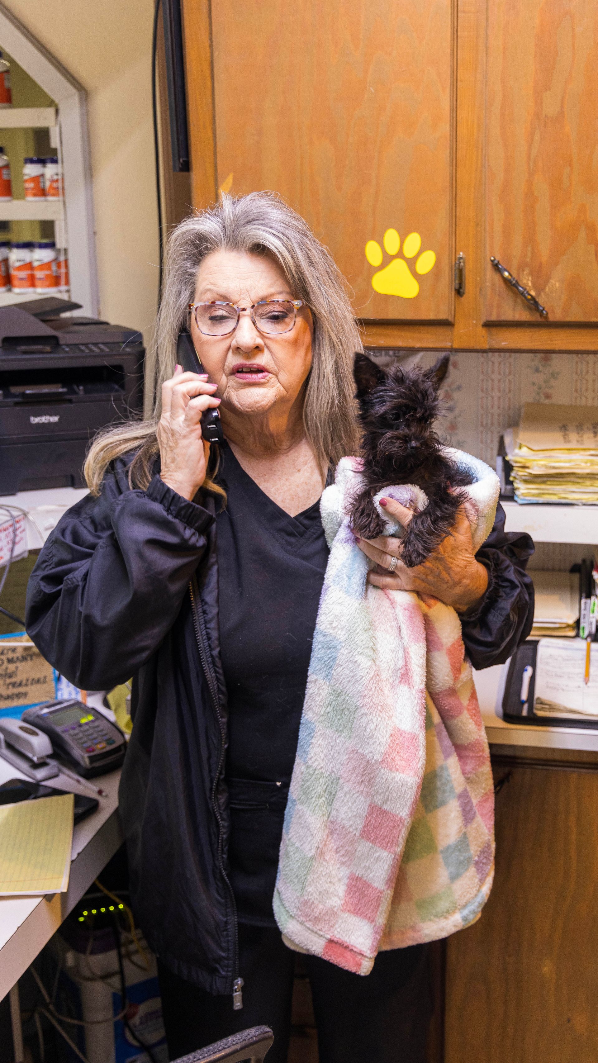 A woman is holding a cat and talking on a cell phone.