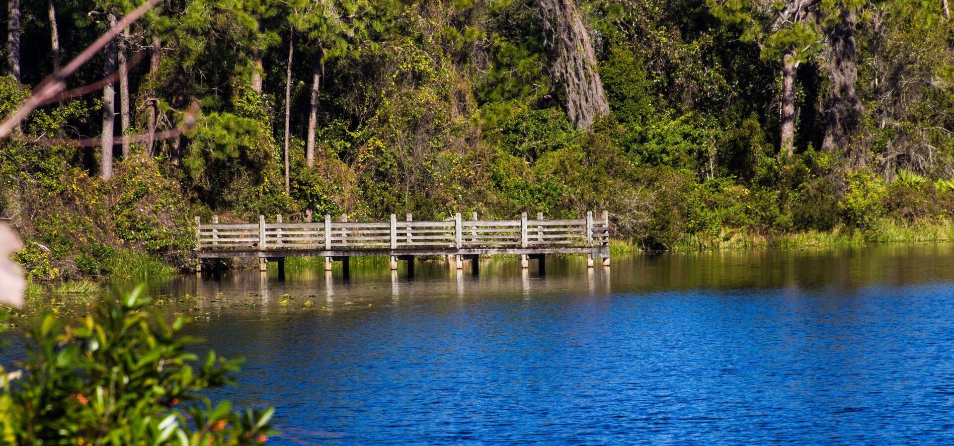 A wooden bridge over a lake surrounded by trees.