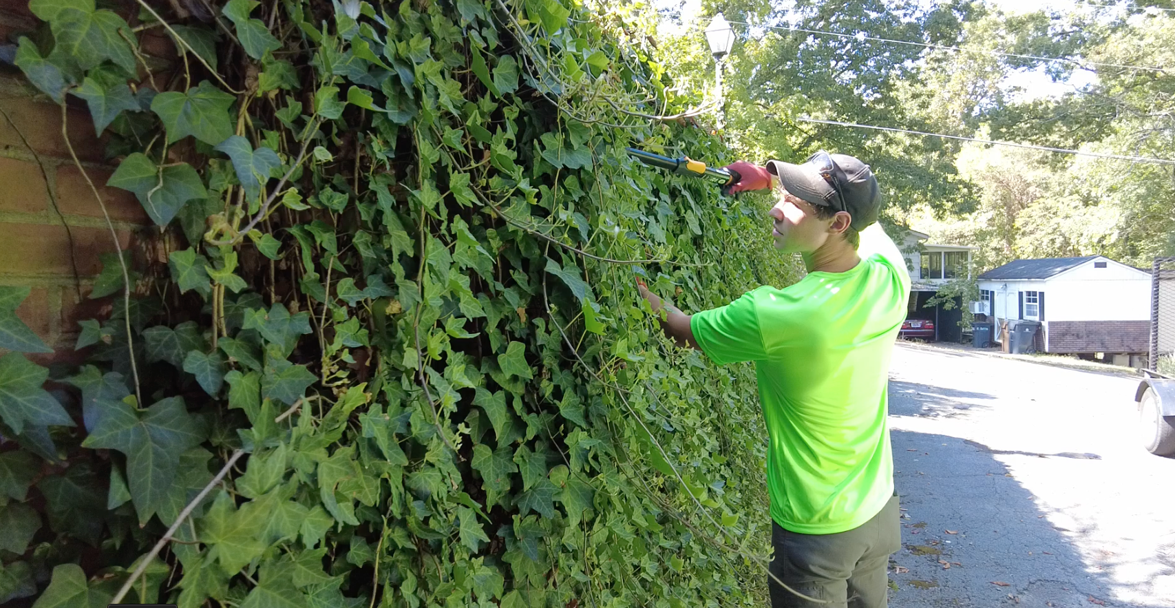 Man trimming a wall covered in green ivy with a hedge trimmer; outdoors.