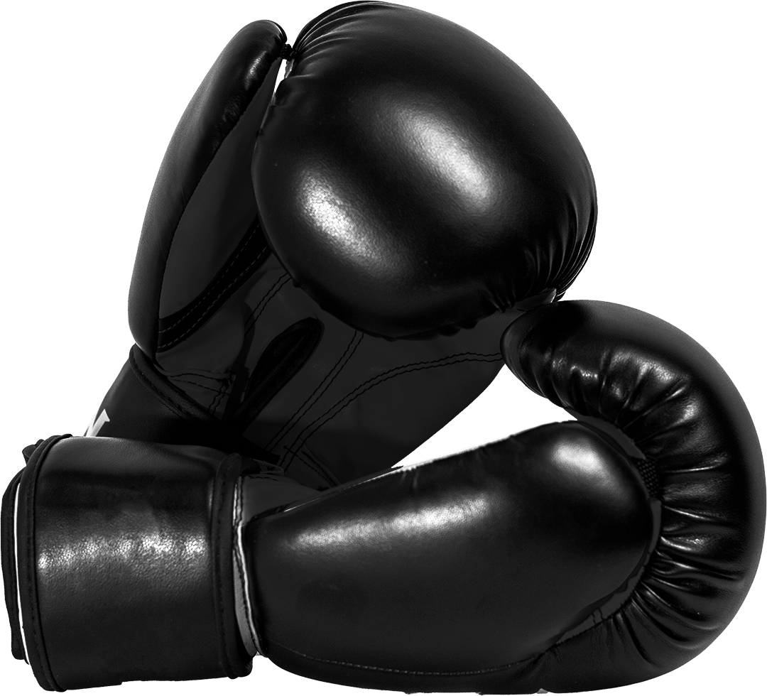 A pair of black boxing gloves on a white background