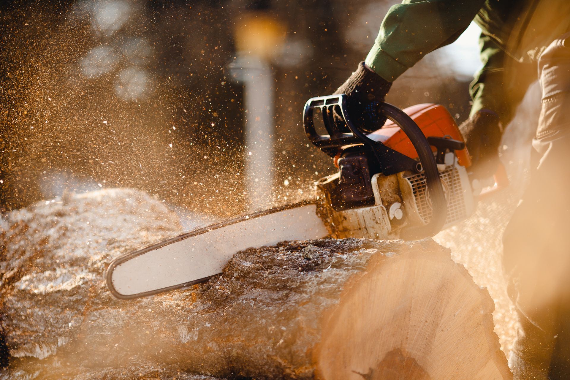 A man is cutting a tree with a chainsaw.