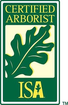 A certified arborist logo with an oak leaf on it.