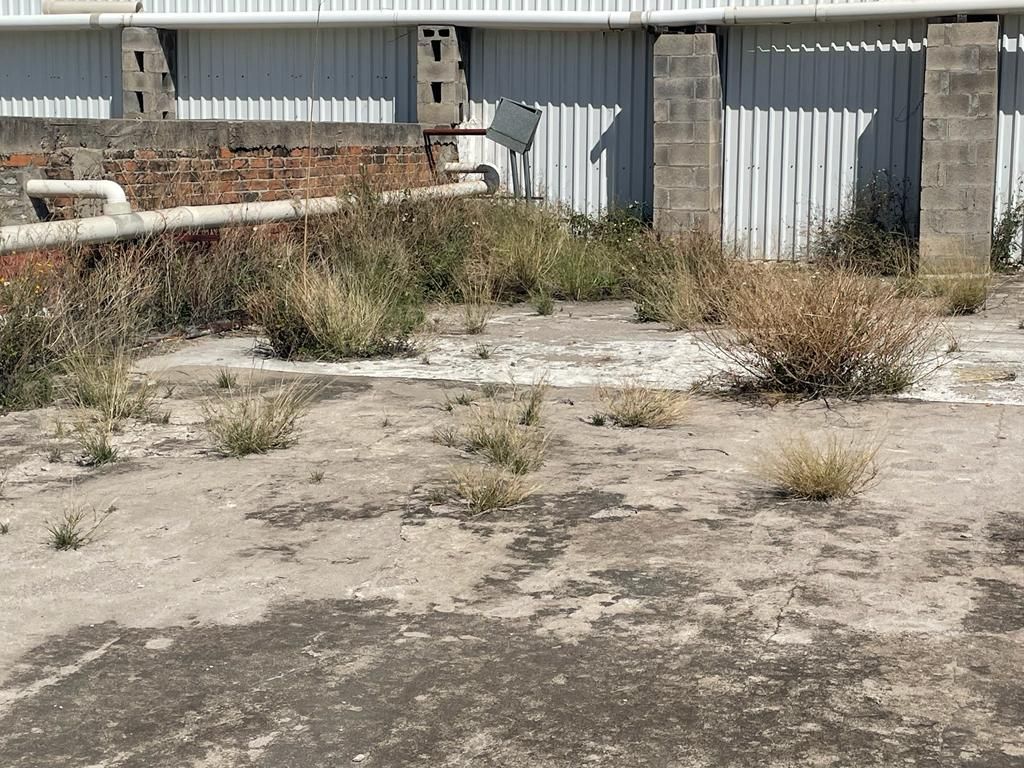 Proyectos realizados para la Industria.