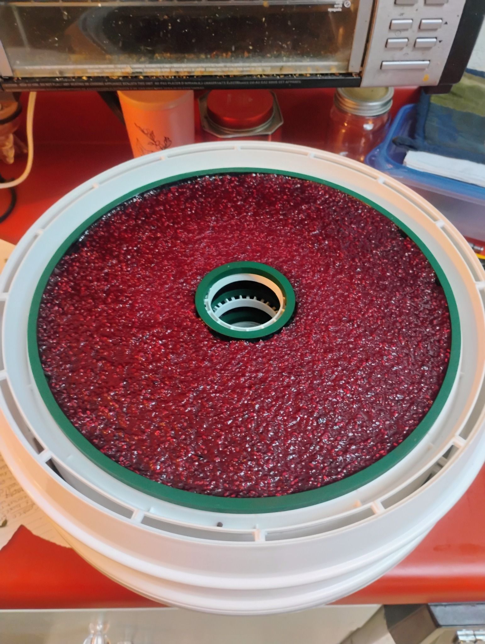 Fruit Leather harvested for jam.