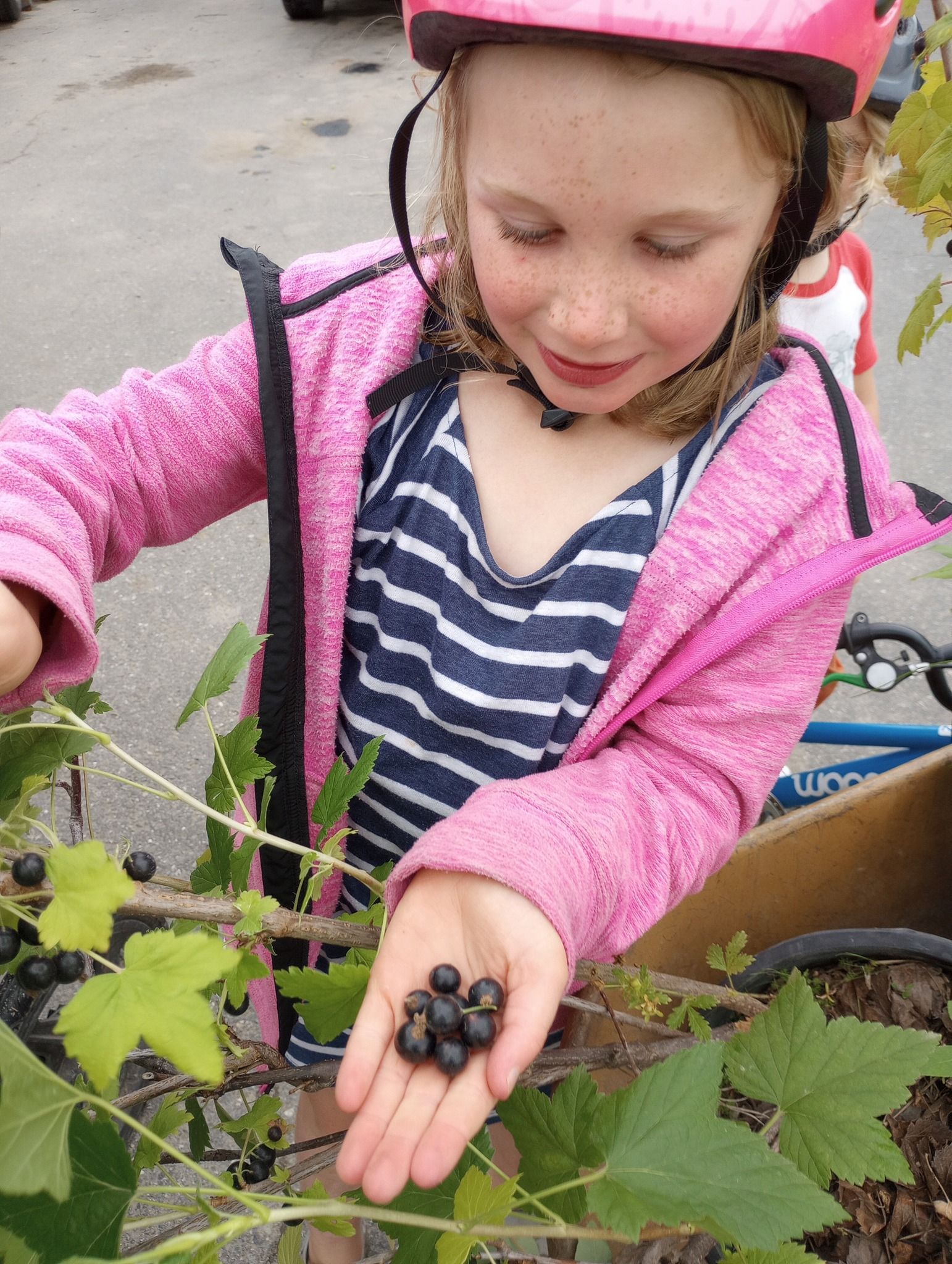 Alaska family owned nursery showing daughter helping in the garden