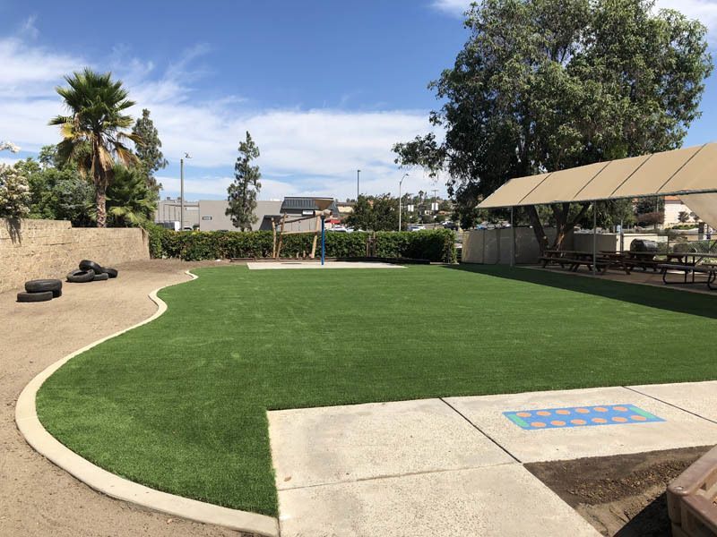 A large lawn with a basketball hoop in the middle of it