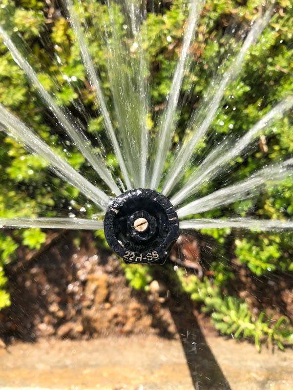 Sprinkler