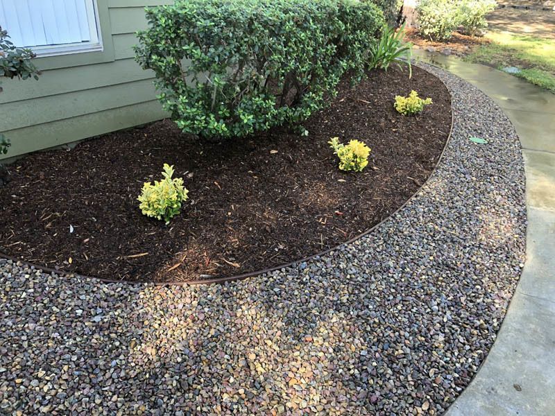 A garden with plants and mulch in front of a house