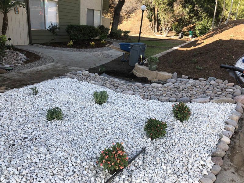 A garden with white gravel and plants in front of a house