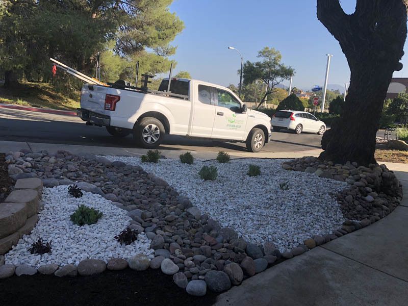 A white truck is parked on the side of the road next to a tree