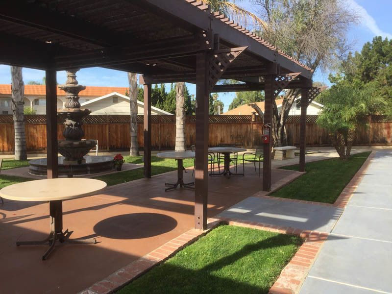 Backyard Landscape