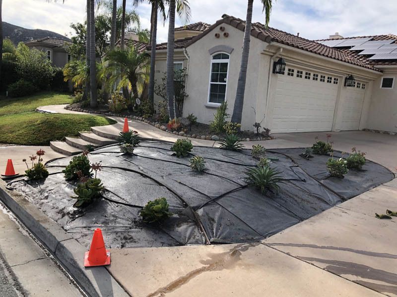 A house with a lot of plants in front of it