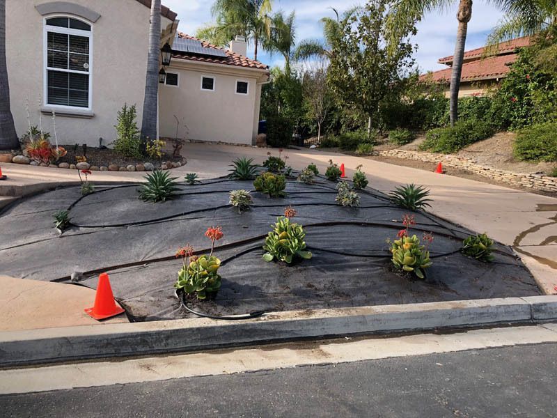 A lawn with flowers and sprinklers in front of a house