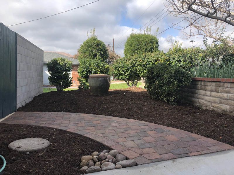 A brick walkway leading to a garden with trees and bushes