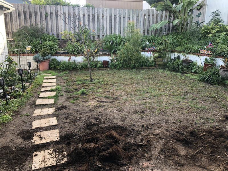 A backyard with a wooden fence and a few steps in the dirt
