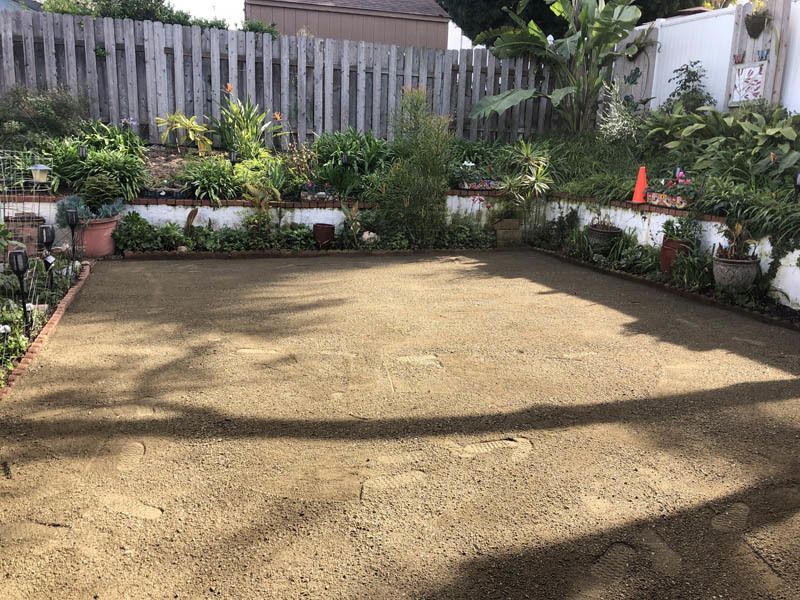 A backyard with a lot of plants and a wooden fence