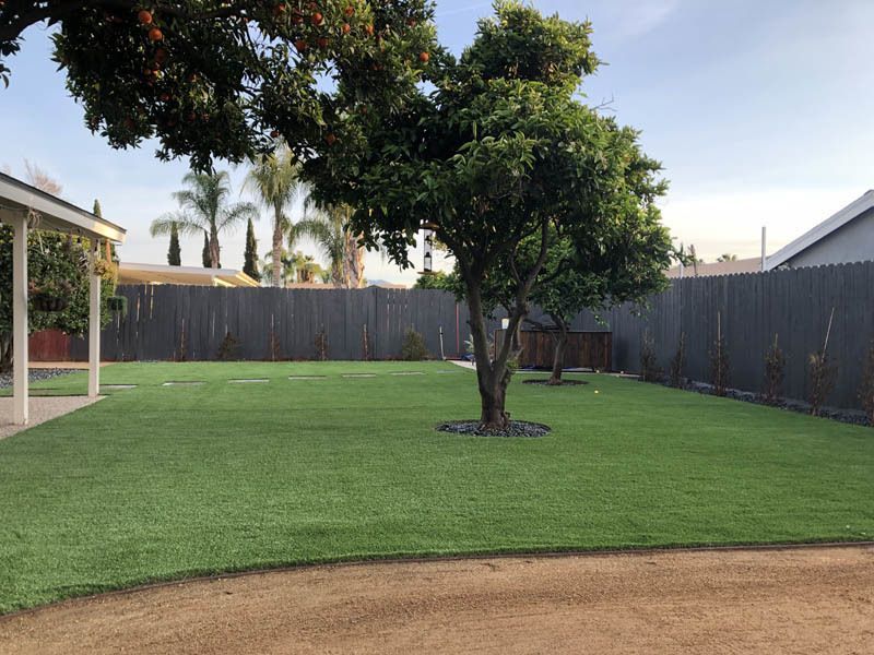 A large lawn with a tree in the middle of it