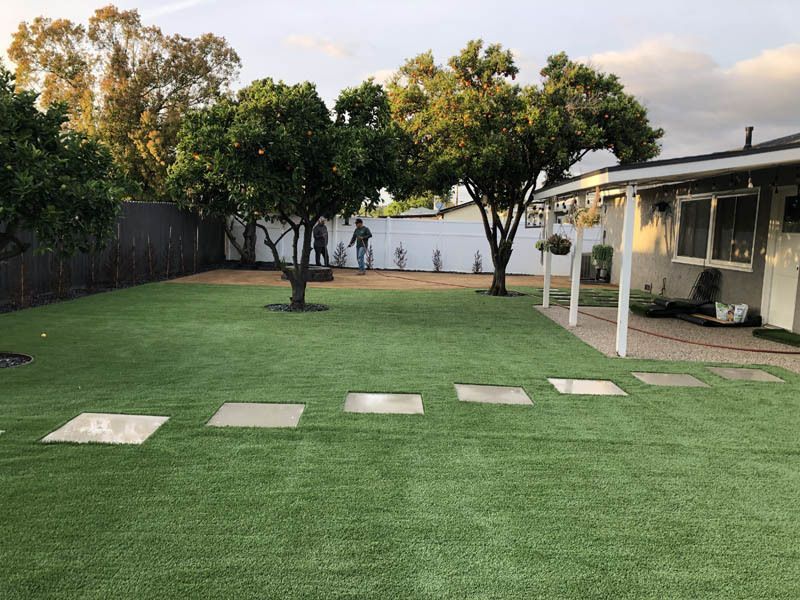 A backyard with a lush green lawn and trees in front of a house