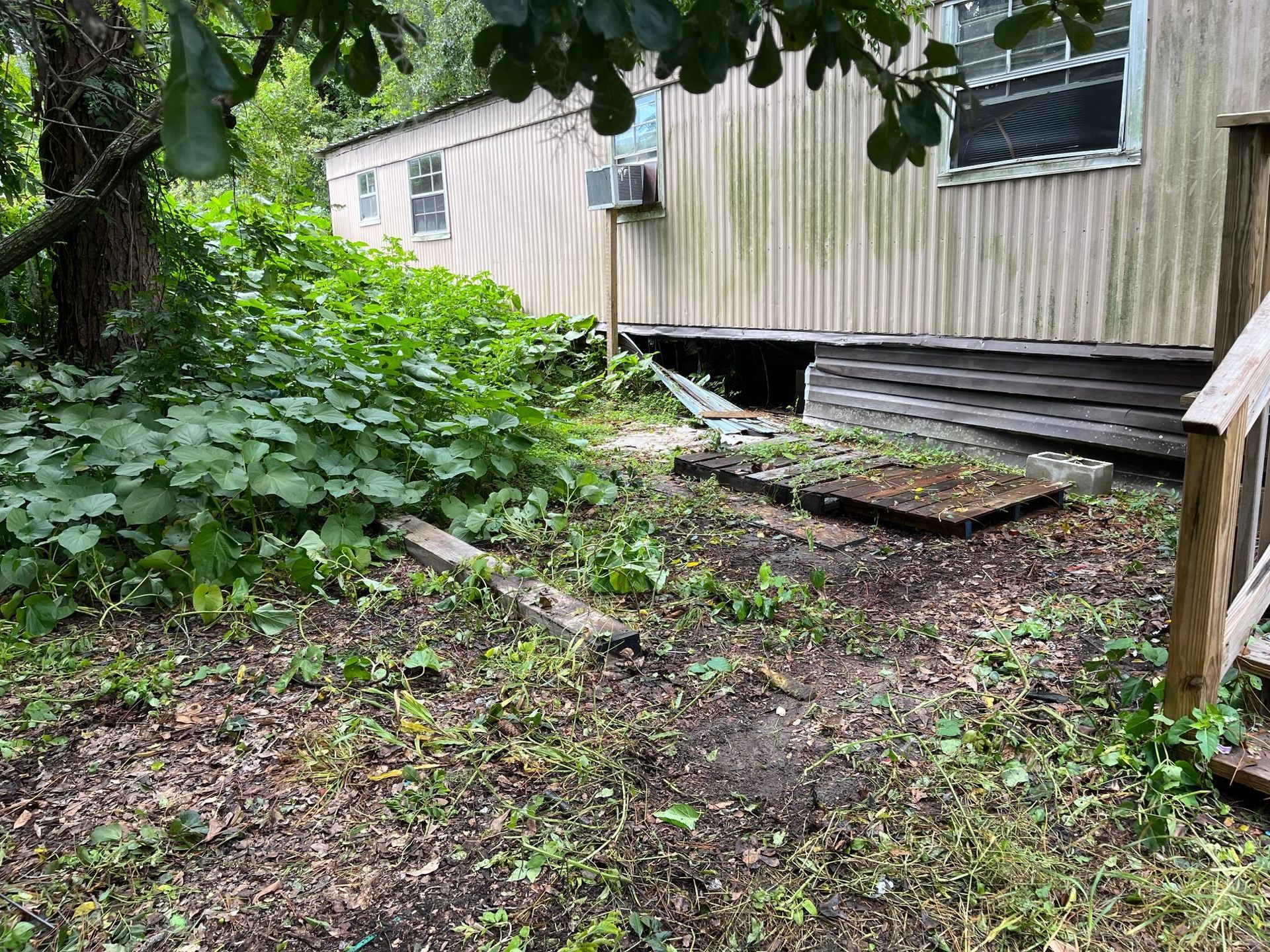 A mobile home with overgrown vegetation and a damaged foundation in a yard.