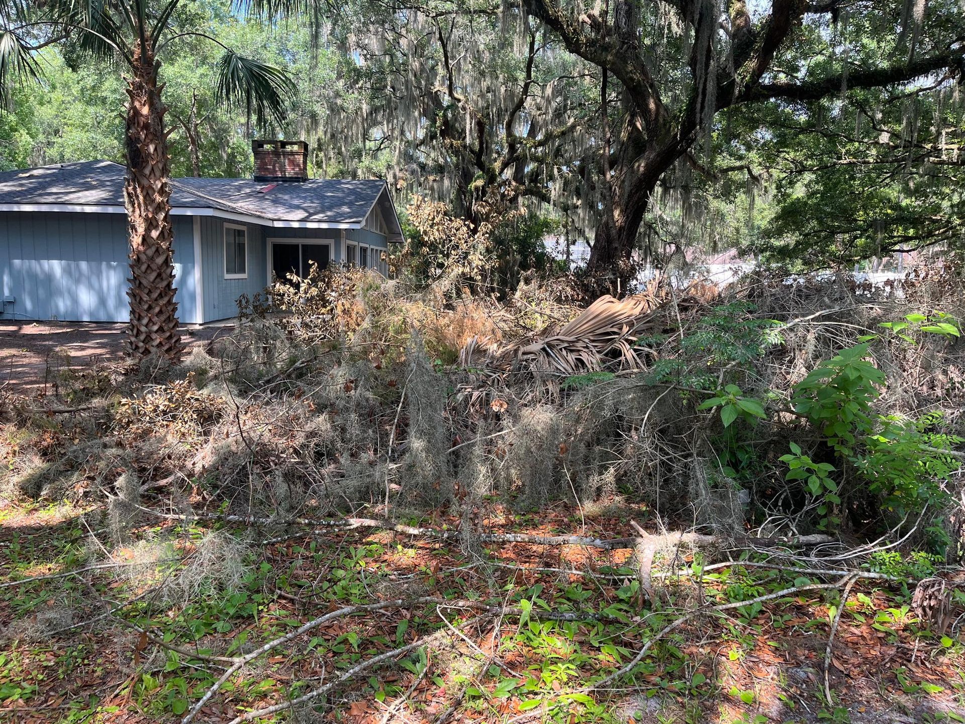 A small blue house surrounded by overgrown brush and trees in a yard.