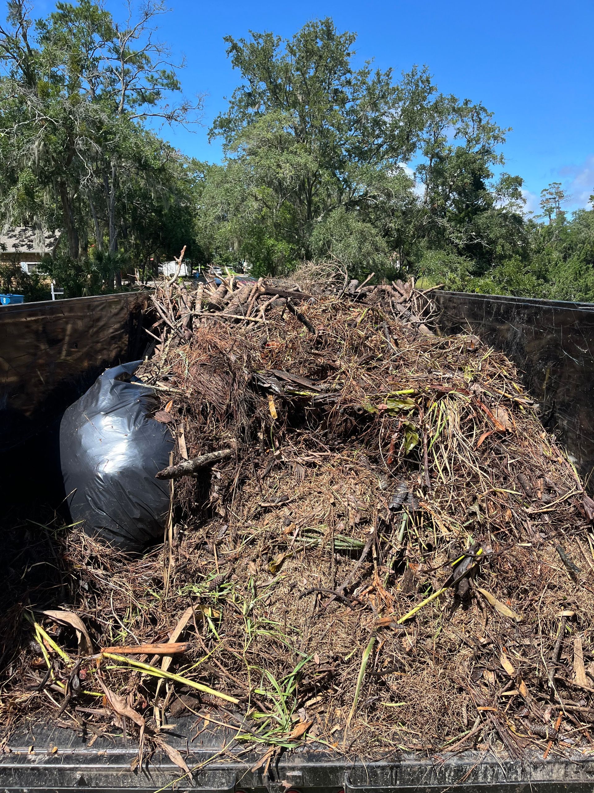 Pile of compost, leaves, and twigs in a black truck bed, with a black bag on the left, trees in the background.