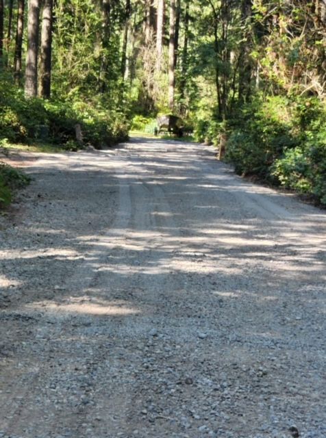 Excavation Contractor in Port Orchard Serving Kitsap County, Mason County, and Gig Harbor
