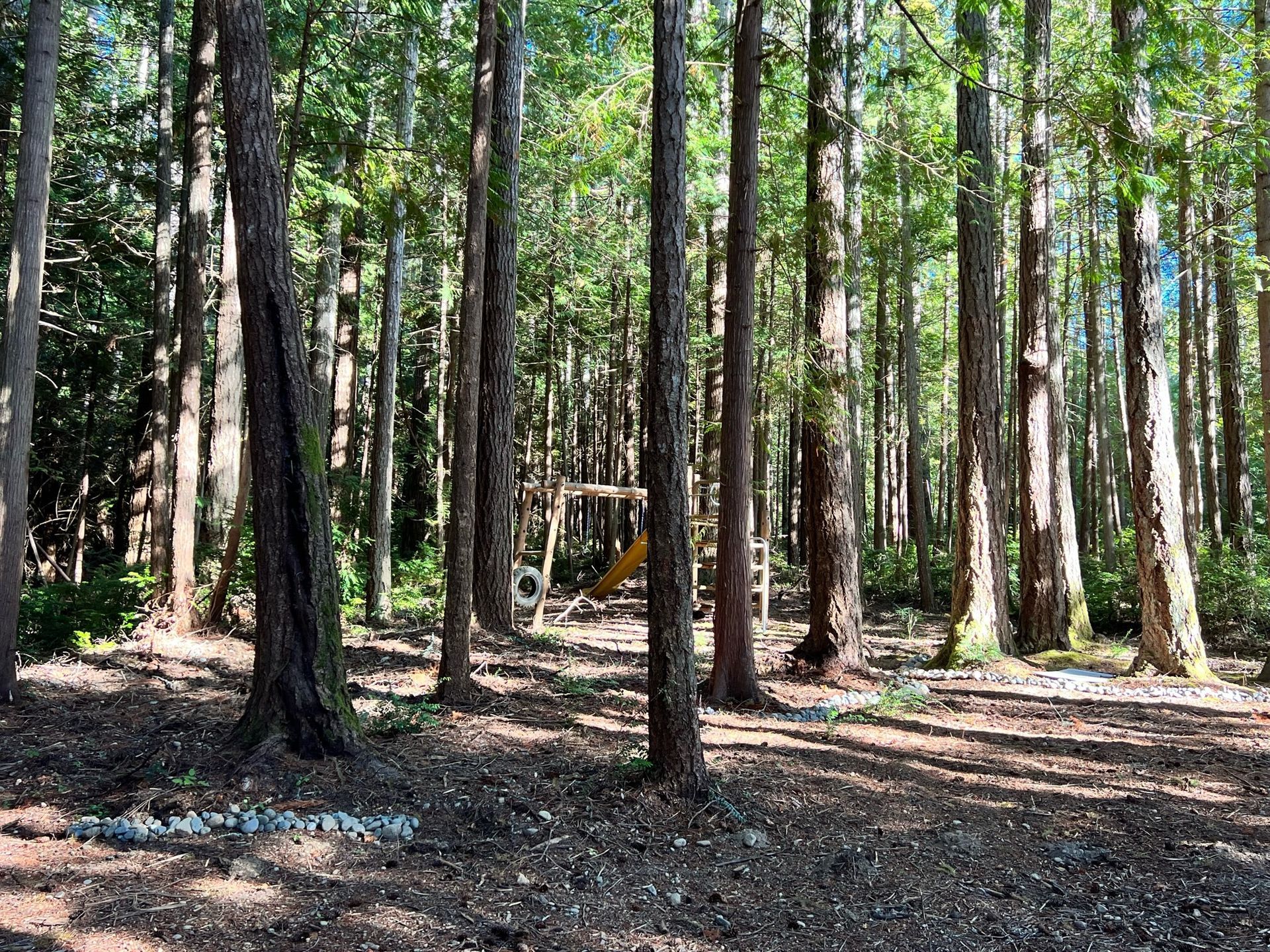 Excavation Contractor in Port Orchard Serving Kitsap County, Mason County, and Gig Harbor
