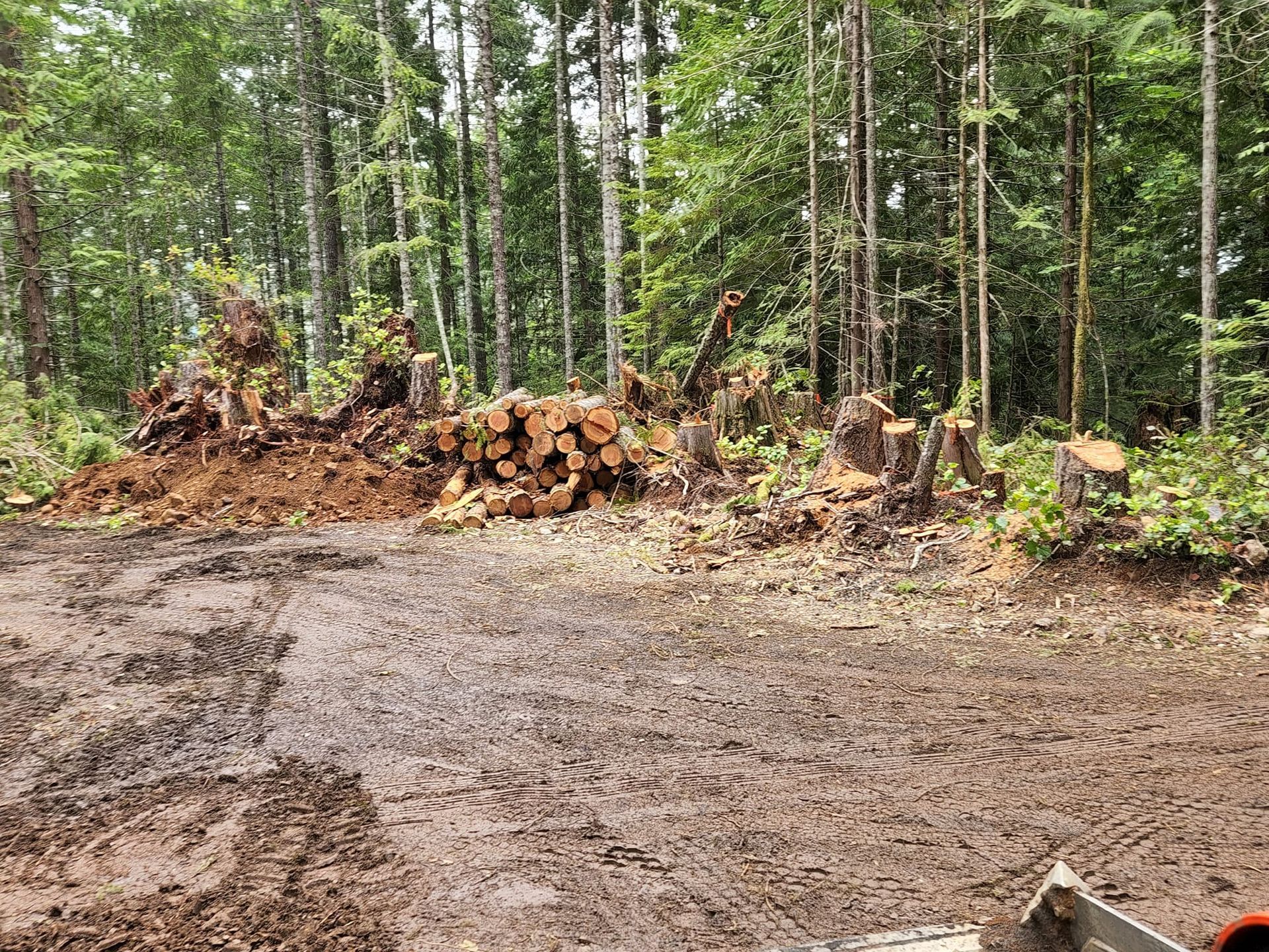 Excavation Contractor in Port Orchard Serving Kitsap County, Mason County, and Gig Harbor
