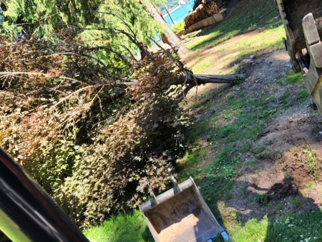 Excavation Contractor in Port Orchard Serving Kitsap County, Mason County, and Gig Harbor
