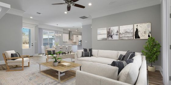 Living room with a white couch, art, and a houseplant.