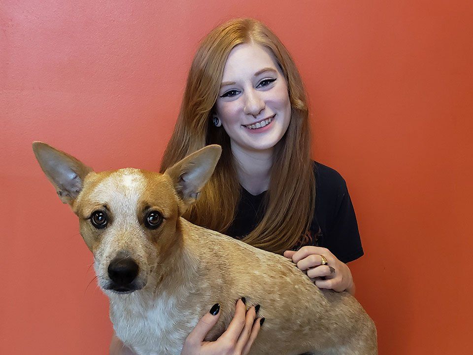 mikaela boarding supervisor