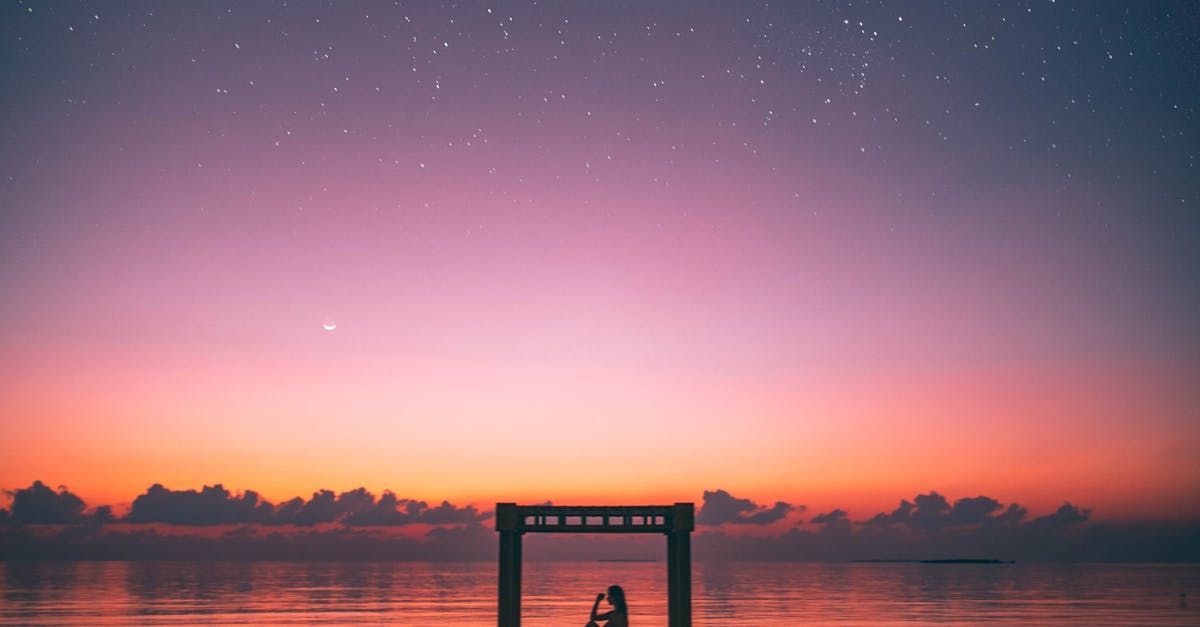 Silhouette of a couple under a wooden arch, at dusk, stars in a purple and orange sky over water.