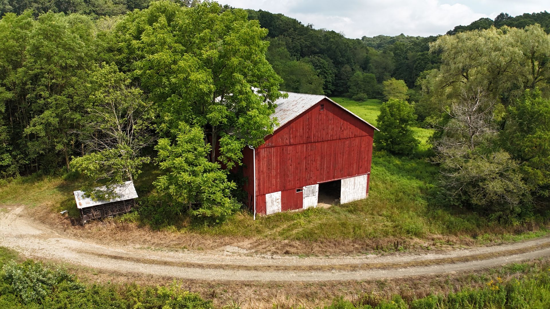 A hallway with hardwood floors and plants in pots
