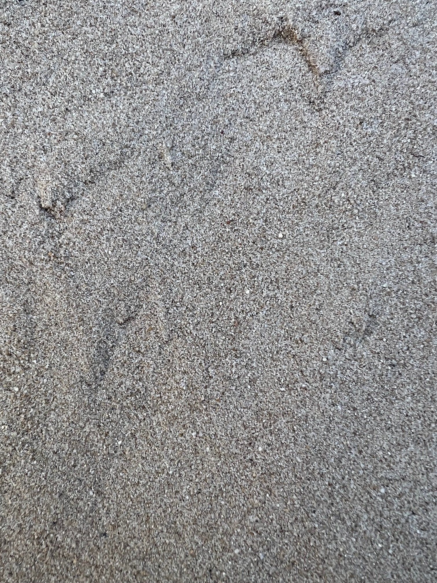 Washed Sand— Building Materials in the Hunter Valley, NSW