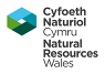 Cyfoeth Naturiol Cymru Natural Resources Wales Company Logo