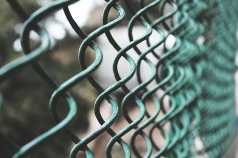 Green chain-link fence, close-up detail; blurry background of trees.