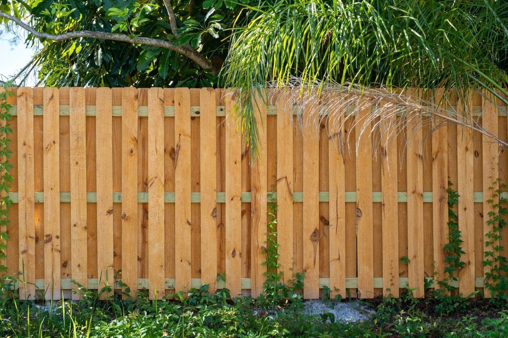 Wooden fence in a yard, with vertical planks. Green foliage at the base and trees in the background.
