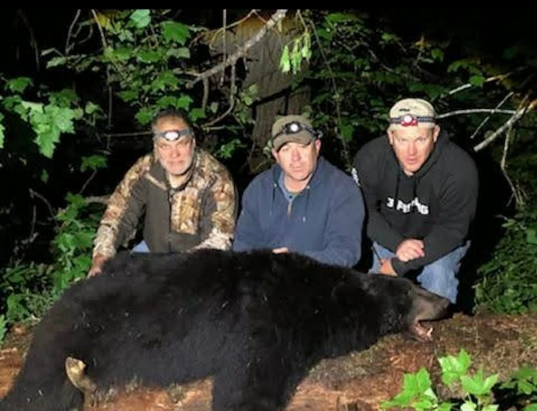 Three men pose behind a large black bear in a wooded area at night.
