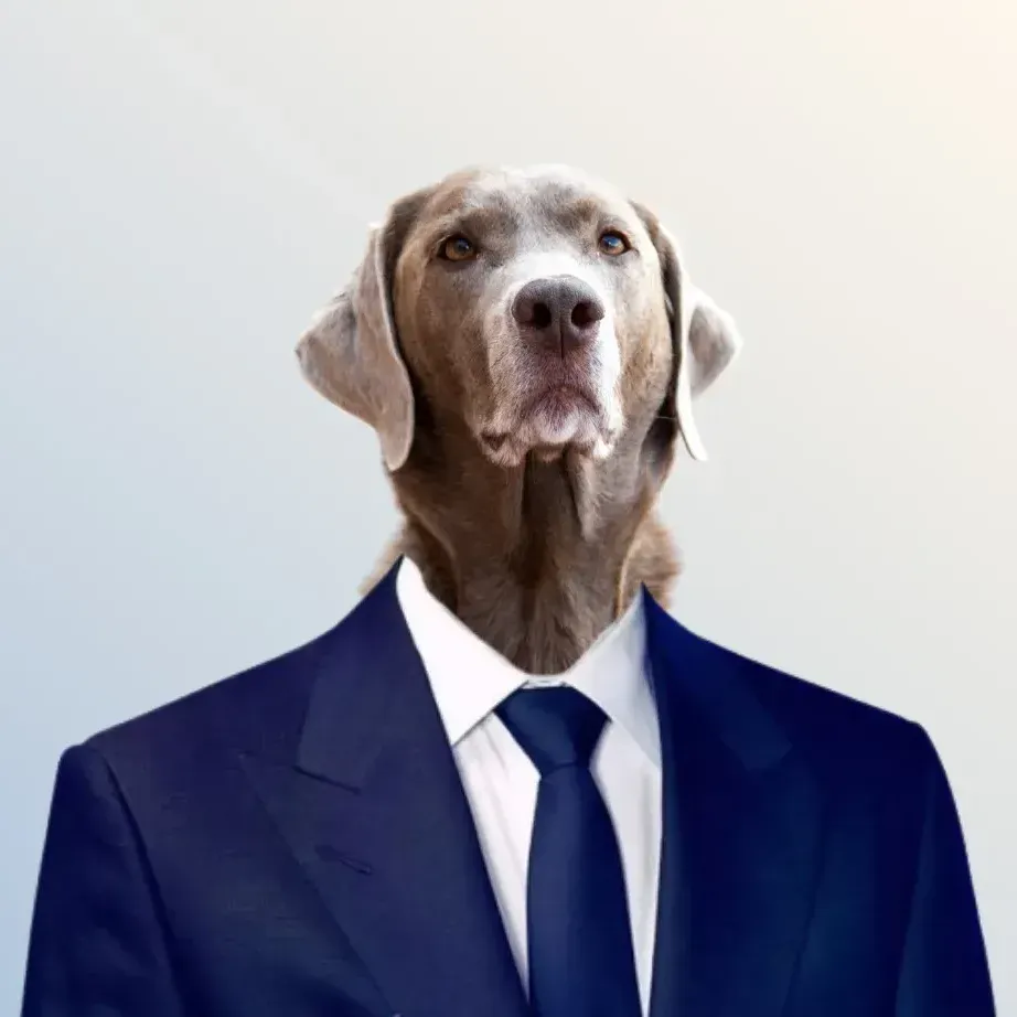 A dog is wearing a blue suit and tie