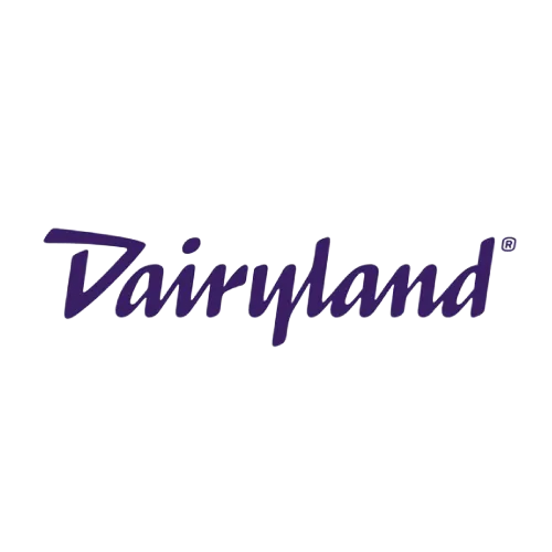 Dairyland logo in purple script on a white background