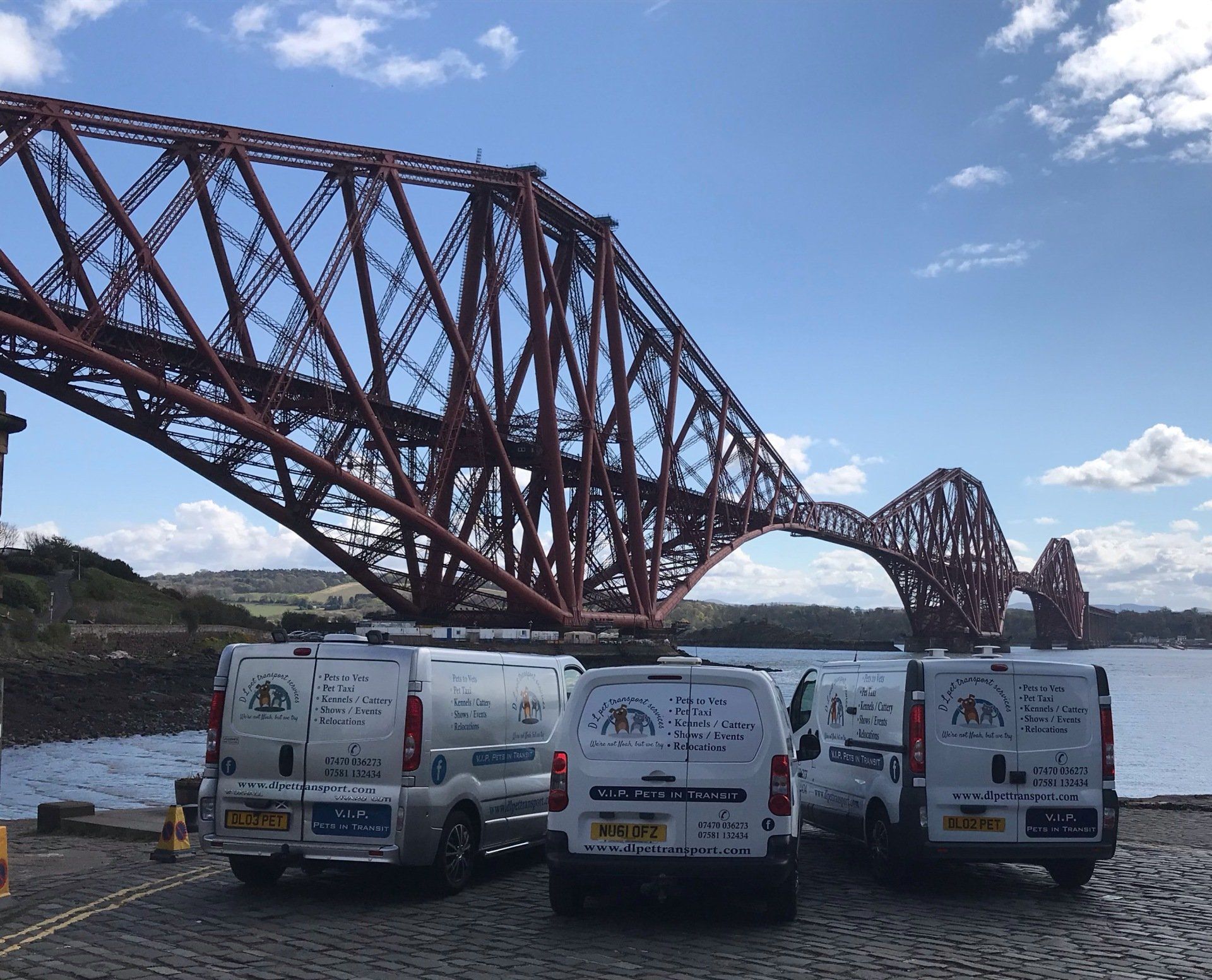 sone of the pet taxis 