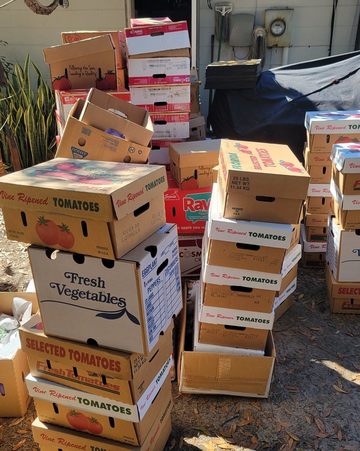 Estate & Hoarder Cleanouts Explained Mulberry, FL