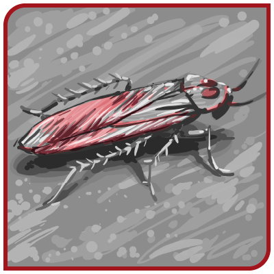 Un dessin d'un cafard sur fond gris