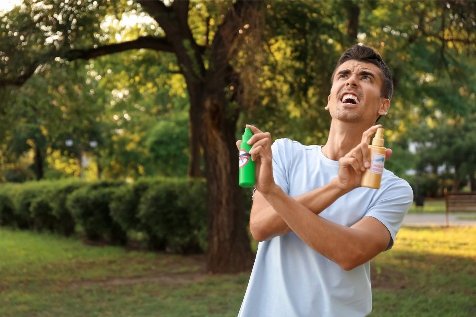 Quel insecticide utiliser pour se débarrasser des moustiques tigre ?